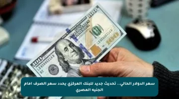 سعر الدولار الحالي.. تحديث جديد للبنك المركزي يحدد سعر الصرف أمام الجنيه المصري